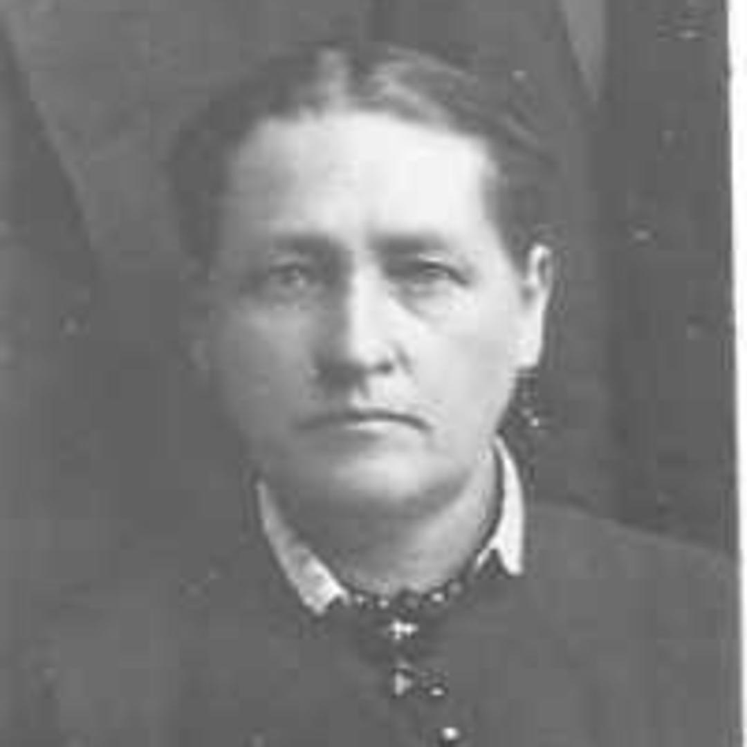 Charlotte Henderson (1837 - 1916) Profile